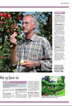 aftenbladet_del3-20080912_000_00_00_003.pdf