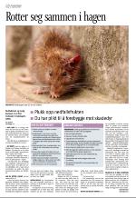 aftenbladet_del3-20080912_000_00_00_004.pdf