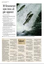 aftenbladet_del3-20080920_000_00_00_002.pdf