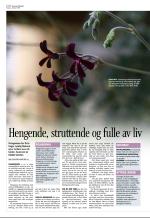 aftenbladet_del3-20081003_000_00_00_006.pdf