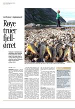 aftenbladet_del3-20081004_000_00_00_006.pdf