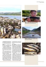 aftenbladet_del3-20081004_000_00_00_007.pdf