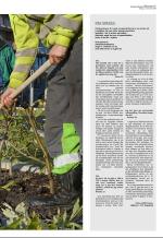 aftenbladet_del3-20081105_000_00_00_005.pdf