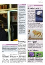 aftenbladet_del3-20081107_000_00_00_005.pdf
