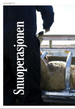 aftenbladet_del3-20081108_000_00_00_004.pdf