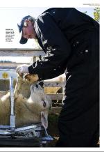 aftenbladet_del3-20081108_000_00_00_005.pdf