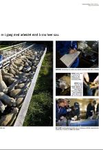 aftenbladet_del3-20081108_000_00_00_007.pdf