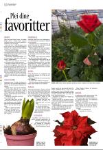 aftenbladet_del3-20081219_000_00_00_006.pdf