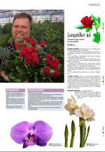 aftenbladet_del3-20081219_000_00_00_007.pdf