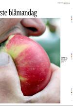 aftenbladet_del3-20090103_000_00_00_013.pdf