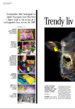 aftenbladet_del3-20090206_000_00_00_004.pdf