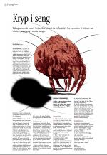 aftenbladet_del3-20090206_000_00_00_040.pdf