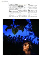 aftenbladet_del3-20090214_000_00_00_006.pdf