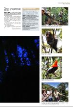 aftenbladet_del3-20090214_000_00_00_007.pdf