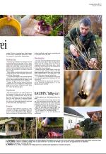 aftenbladet_del3-20090320_000_00_00_007.pdf