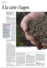 aftenbladet_del3-20090430_000_00_00_002.pdf