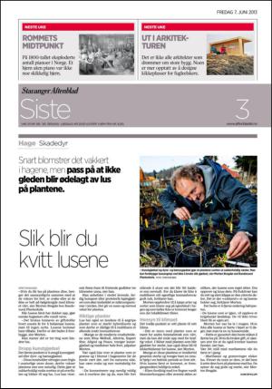 aftenbladet_del3-20130607_000_00_00_080.pdf