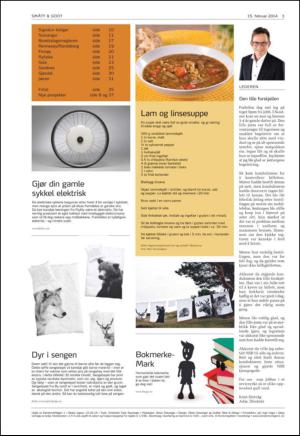 aftenbladet_del3-20140215_000_00_00_003.pdf