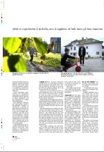 aftenbladet_pluss-20051202_000_00_00_016.pdf