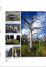 aftenbladet_pluss-20051209_000_00_00_034.pdf