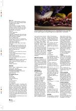 aftenbladet_pluss-20051216_000_00_00_034.pdf