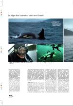 aftenbladet_pluss-20060113_000_00_00_016.pdf