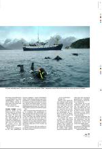 aftenbladet_pluss-20060113_000_00_00_017.pdf