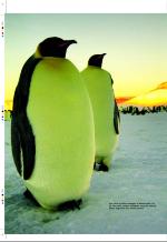 aftenbladet_pluss-20060120_000_00_00_006.pdf