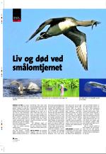 aftenbladet_pluss-20060127_000_00_00_022.pdf