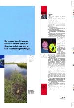 aftenbladet_pluss-20060127_000_00_00_023.pdf