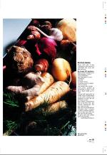aftenbladet_pluss-20060203_000_00_00_033.pdf