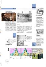 aftenbladet_pluss-20060210_000_00_00_004.pdf