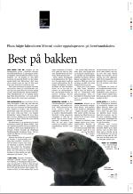 aftenbladet_pluss-20060217_000_00_00_007.pdf