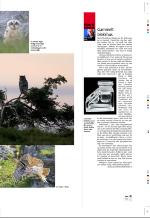 aftenbladet_pluss-20060303_000_00_00_021.pdf