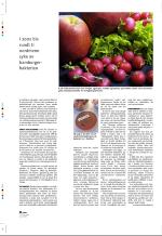 aftenbladet_pluss-20060324_000_00_00_022.pdf