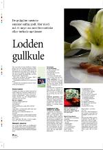 aftenbladet_pluss-20060324_000_00_00_036.pdf