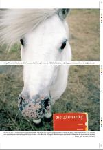 aftenbladet_pluss-20060331_000_00_00_011.pdf