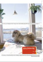aftenbladet_pluss-20060421_000_00_00_033.pdf