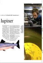 aftenbladet_pluss-20060505_000_00_00_009.pdf