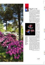 aftenbladet_pluss-20060505_000_00_00_021.pdf