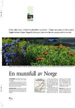 aftenbladet_pluss-20060526_000_00_00_026.pdf