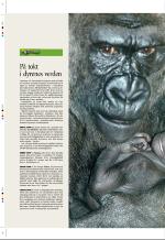 aftenbladet_pluss-20060623_000_00_00_012.pdf
