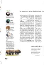 aftenbladet_pluss-20060623_000_00_00_016.pdf