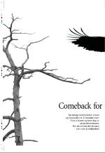 aftenbladet_pluss-20060623_000_00_00_018.pdf