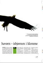 aftenbladet_pluss-20060623_000_00_00_019.pdf