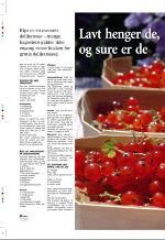 aftenbladet_pluss-20060728_000_00_00_030.pdf