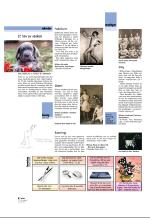 aftenbladet_pluss-20060804_000_00_00_004.pdf