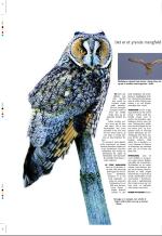 aftenbladet_pluss-20060818_000_00_00_018.pdf