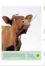 aftenbladet_pluss-20060929_000_00_00_007.pdf