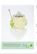 aftenbladet_pluss-20061006_000_00_00_011.pdf